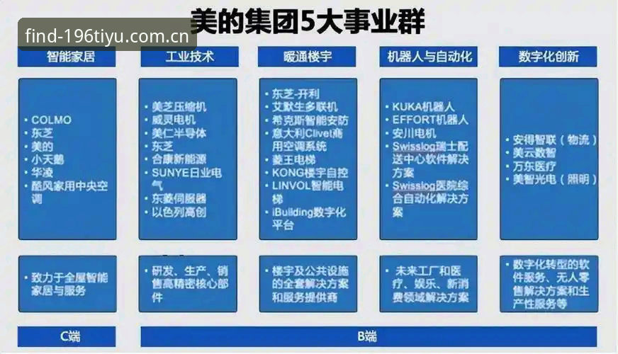 揭秘196体育平台：体育下载需求激增背后的行业真相