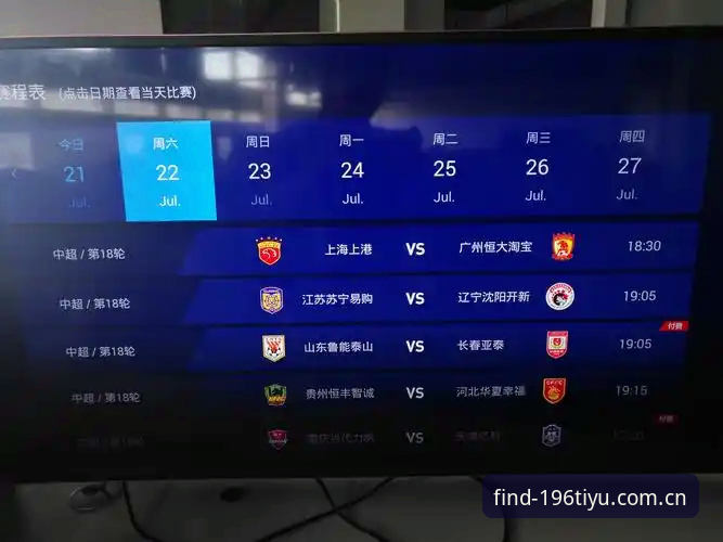 老用户亲测：196体育正版下载教程全解析，安卓安装包获取心得分享